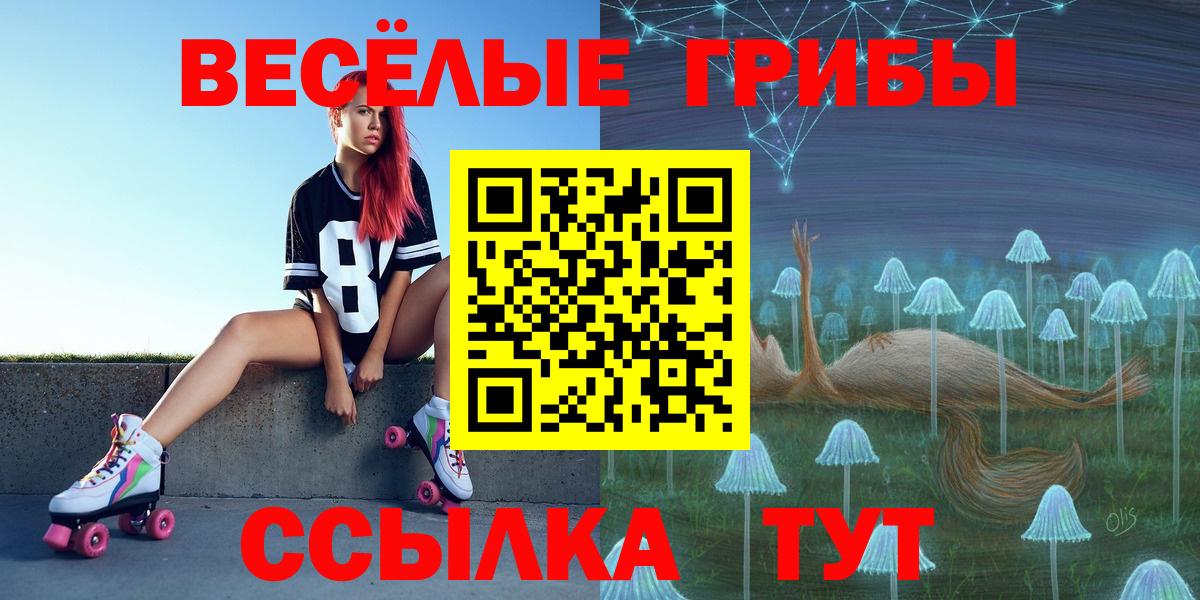 Галлюциногенные грибы Psilocybe Ефремов